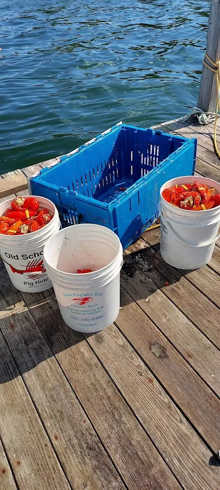 Fresh Lobster Right Off the Boat